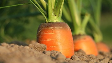 Sustainable agriculture loans