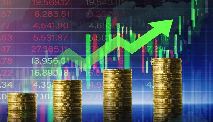 Investing in the Stock Market