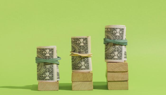 The investment game