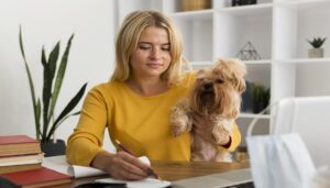 Pet care loans